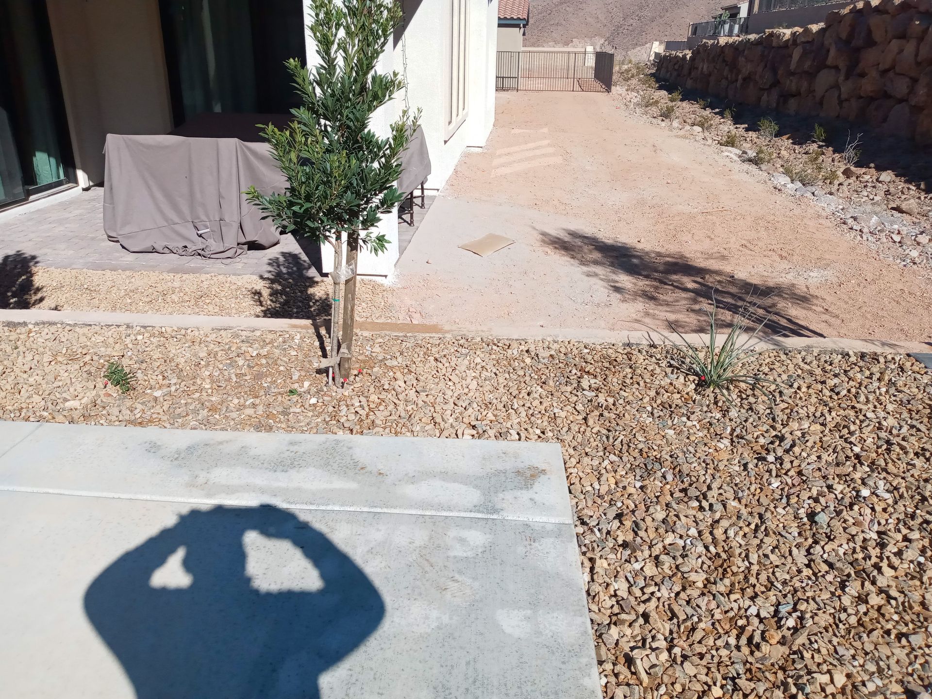 Zion Landscape & Maintenance gallery photo